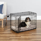 MidWest iCrate Two-Door Folding Dog Crate with Divider & Leak-Proof Tray – 76cm Metal Wire Kennel for Medium Dogs