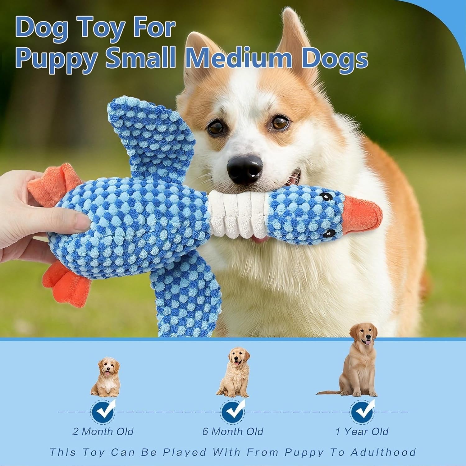 Plush Duck Squeaky Dog Toy – Soft Interactive Chew Toy for Small & Medium Dogs