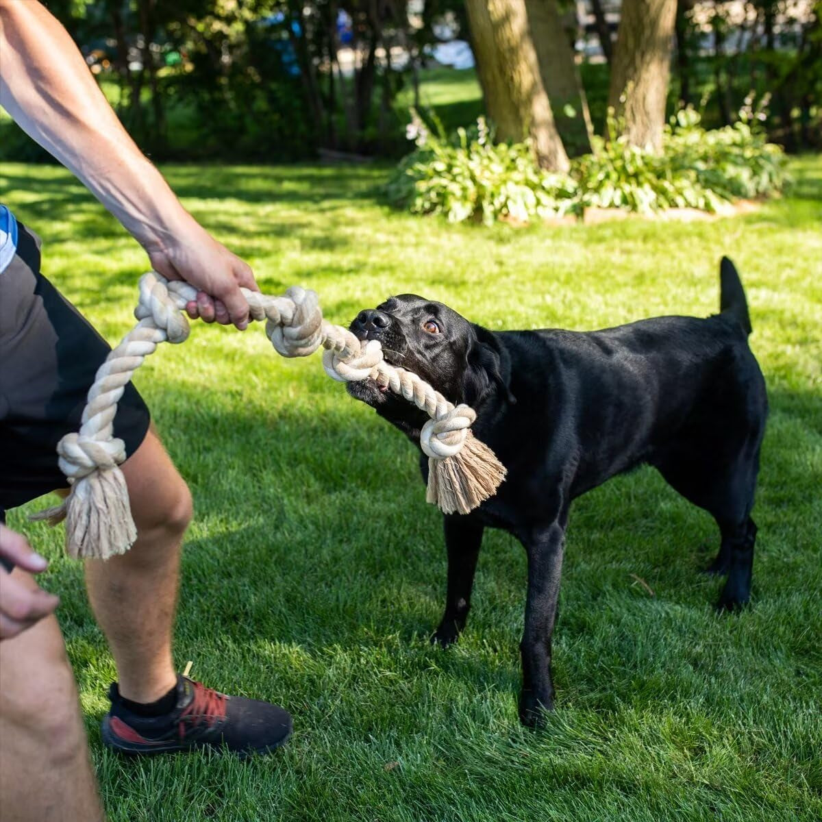 Fida Heavy Duty Cotton Rope Dog Toy – 92cm Indestructible Tug of War Chew Toy for Large Dogs