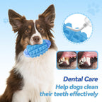Rugby Squeaky Dog Chew Toy – Tough Nylon & Rubber Teeth Cleaning Toy for Aggressive Chewers & Large Dogs