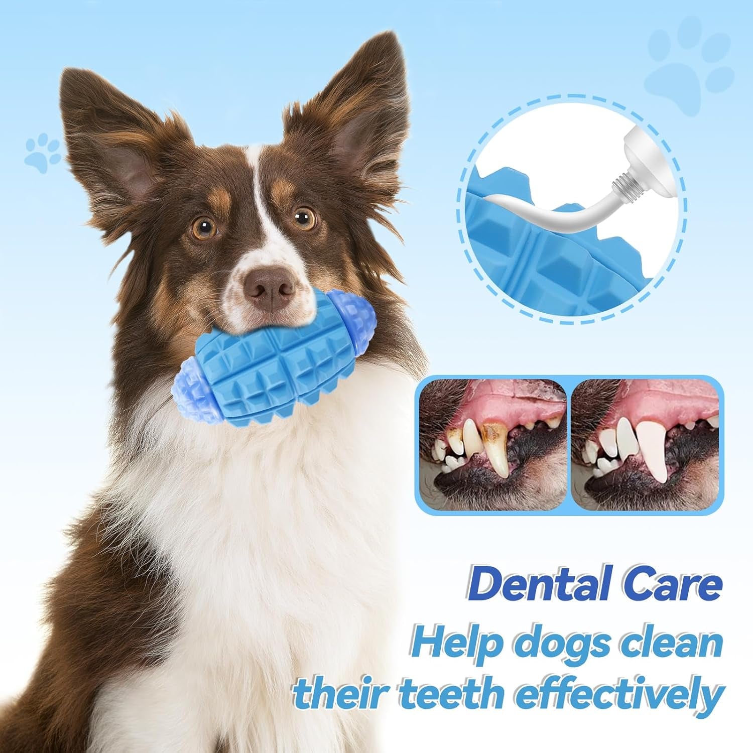Rugby Squeaky Dog Chew Toy – Tough Nylon & Rubber Teeth Cleaning Toy for Aggressive Chewers & Large Dogs