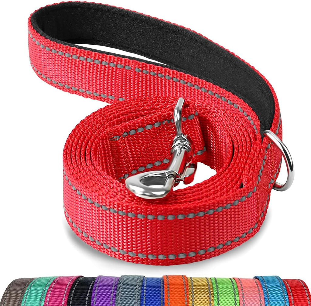 Joytale Padded Handle Dog Lead – Double-Sided Reflective Nylon Walking Leash for Small & Medium Dogs 