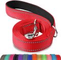 Joytale Padded Handle Dog Lead – Double-Sided Reflective Nylon Walking Leash for Small & Medium Dogs 