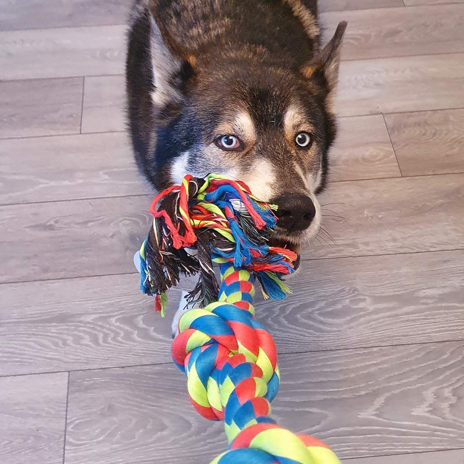 Triple Knot Rope Dog Toy – Durable Chew & Tug Toy for Small Dogs
