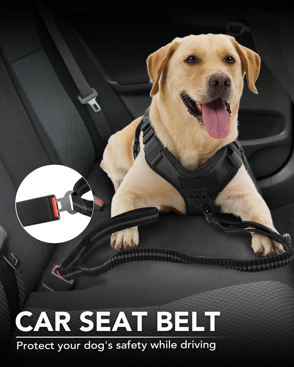 Tactical Dog Lead – Heavy Duty Bungee Shock Absorbing Leash with Double Handle & Car Seatbelt for Medium, Large & XL Dogs