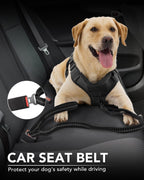 Tactical Dog Lead – Heavy Duty Bungee Shock Absorbing Leash with Double Handle & Car Seatbelt for Medium, Large & XL Dogs