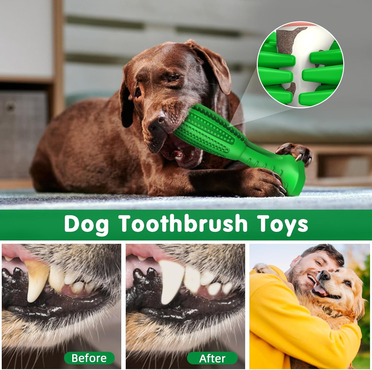 HETOO Natural Rubber Dog Toothbrush Chew Toy – Teeth Cleaning Dental Rod for Puppies & Dogs
