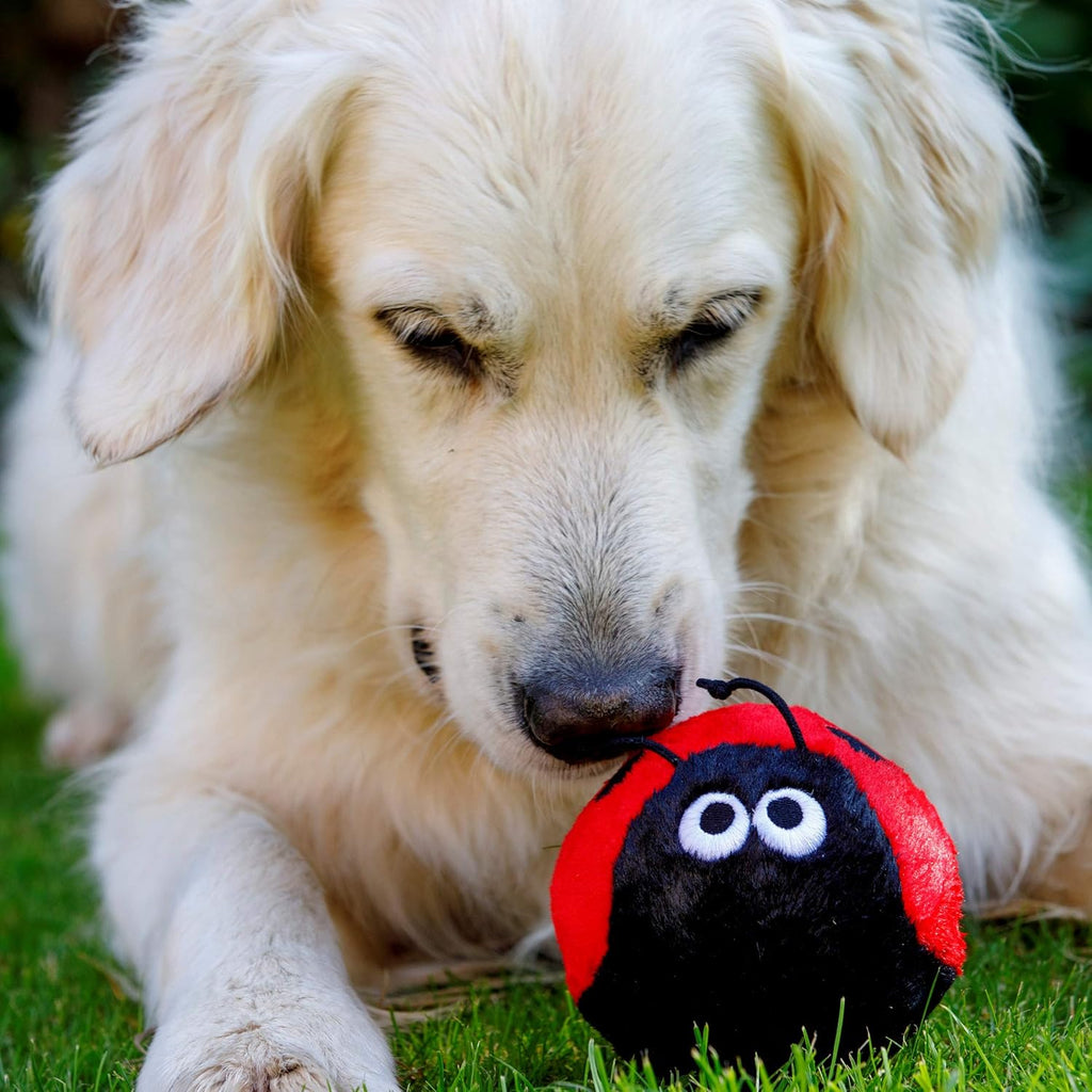 Lindy the Ladybird Plush Squeaky Dog Toy – Soft Cuddly Fetch Toy for Dogs