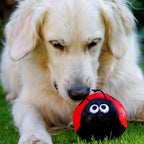Lindy the Ladybird Plush Squeaky Dog Toy – Soft Cuddly Fetch Toy for Dogs