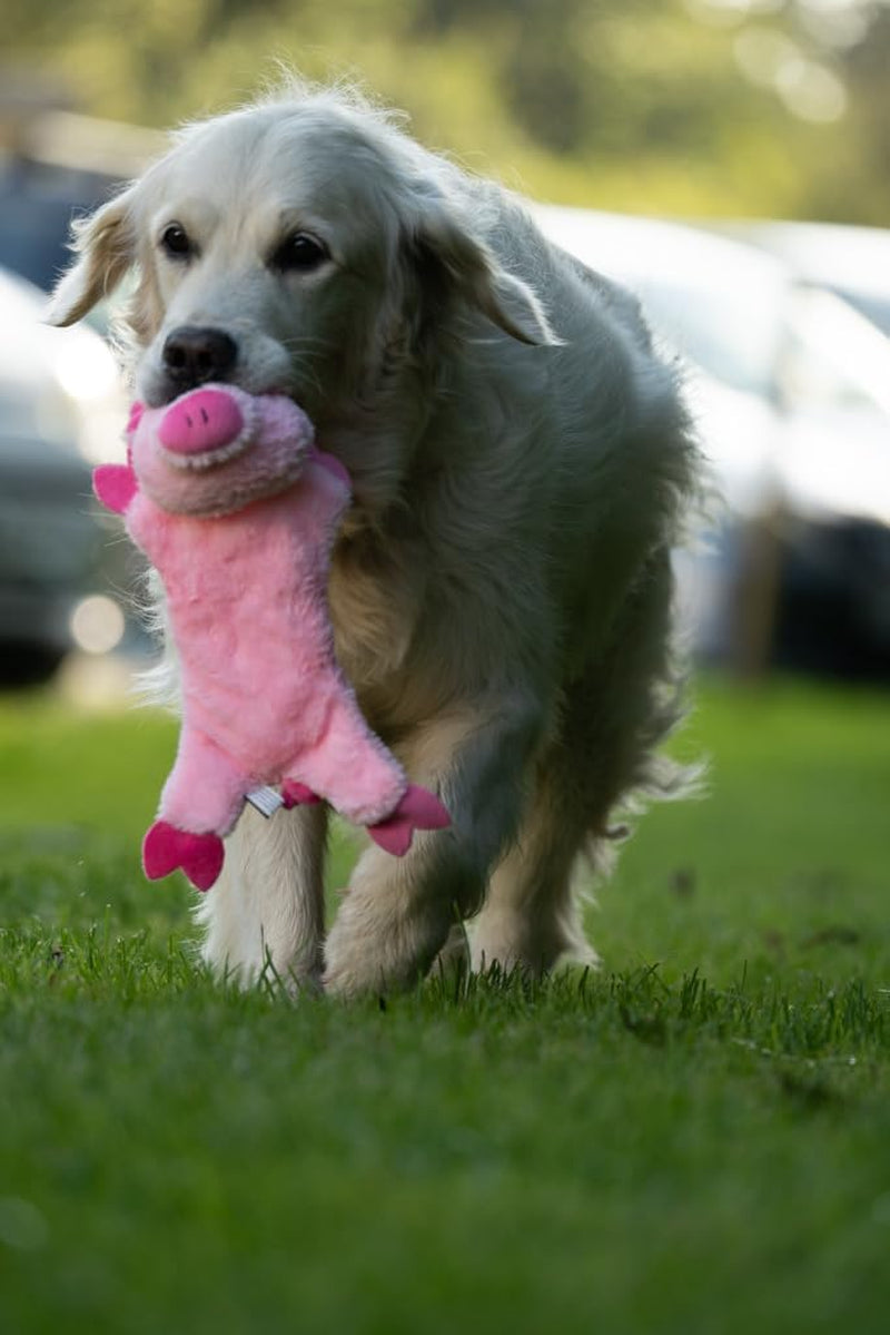 Petface Flat Pig Crinkle Squeaky Dog Toy – Soft Plush Farmyard Buddy for Dogs