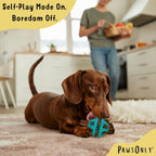 PawsOnly Treat Dispensing Ball – Interactive Rubber Puzzle Feeder for Mental Stimulation & Dog Enrichment (Small, Blue)