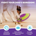 Nina Ottosson Treat Maze Puzzle Toy – Level 2 Interactive Treat Dispenser for Mental Stimulation & Dog Enrichment