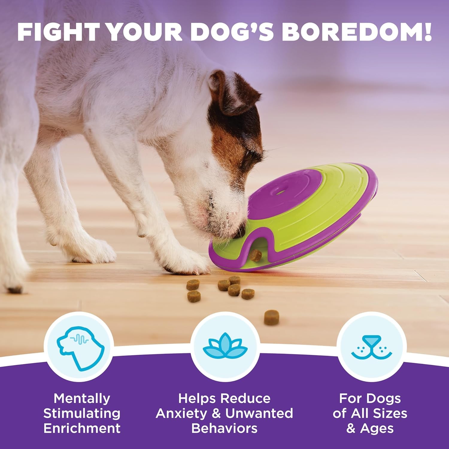 Nina Ottosson Treat Maze Puzzle Toy – Level 2 Interactive Treat Dispenser for Mental Stimulation & Dog Enrichment