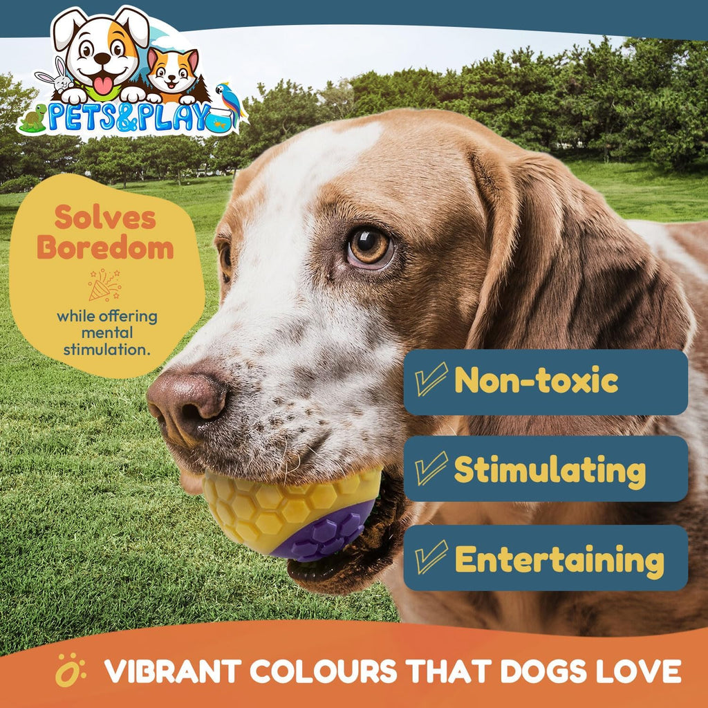 Pets & Play Squeaky Rubber Dog Balls – 6 Pack Durable TPR Chew Balls for Small & Medium Dogs