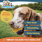 Pets & Play Squeaky Rubber Dog Balls – 6 Pack Durable TPR Chew Balls for Small & Medium Dogs