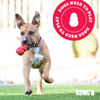 KONG Classic Stuffable Dog Toy – Durable Natural Rubber Chew Toy