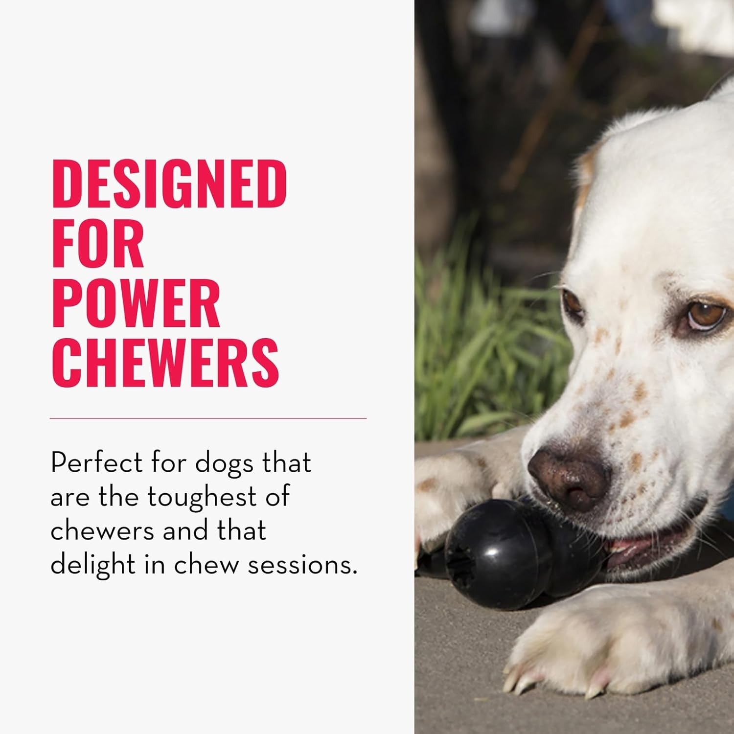 KONG Extreme Goodie Bone – Durable Natural Rubber Chew Toy for Power Chewing Medium Dogs