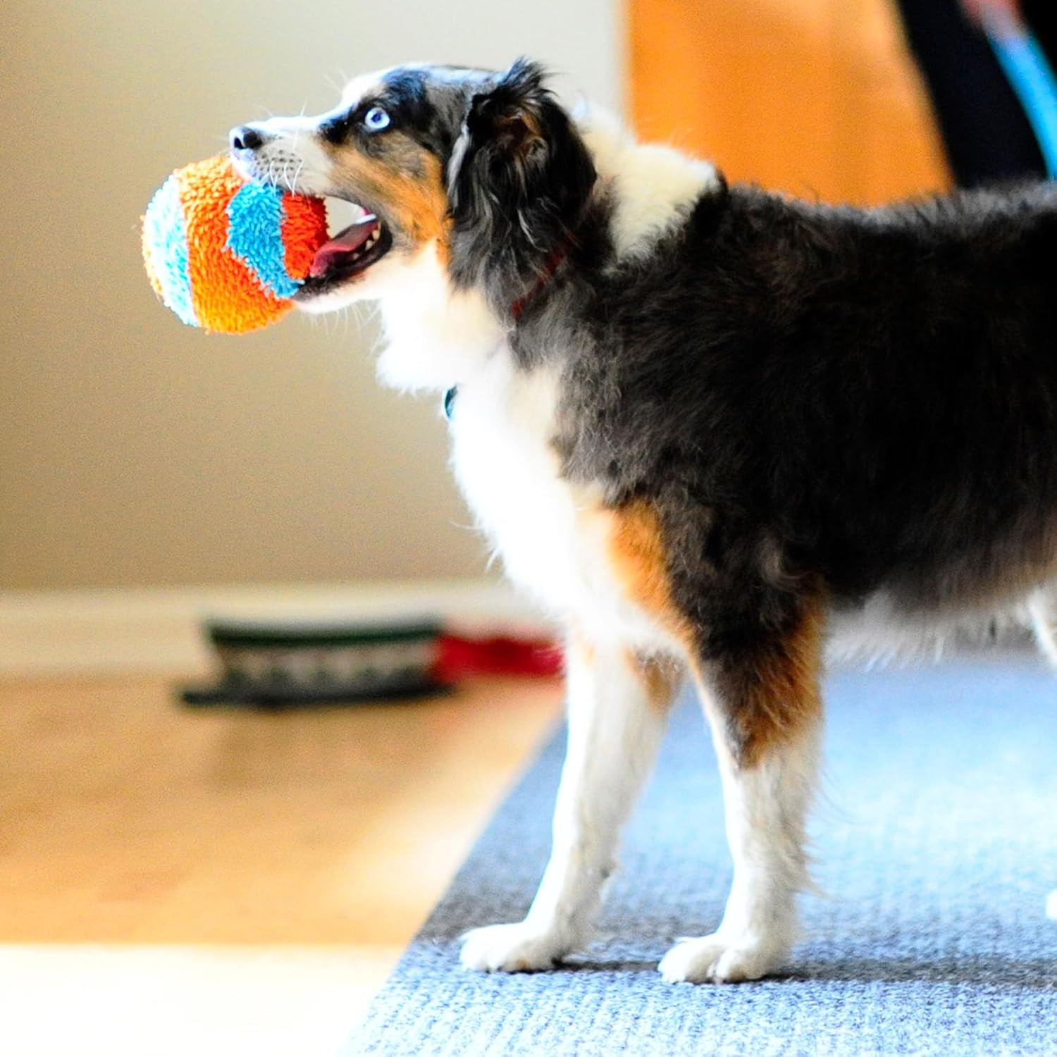 Chuckit Indoor Soft Dog Ball – No-Stuffing Plush Fetch Toy for Puppies & Light to Medium Chewers (11cm)