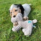 Petface Freddi Cord Plush Squeaky Puppy Toy – Soft Textured Dog Toy for Puppies & Small Dogs