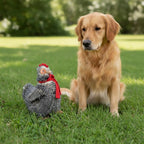 Cheeky Chicken Plush Squeaky Dog Toy – Super Soft Comforter for Puppies & Small to Medium Dogs