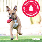 KONG Puppy Stuffable Chew Toy – Soft Natural Rubber Teething Toy for Medium Puppies
