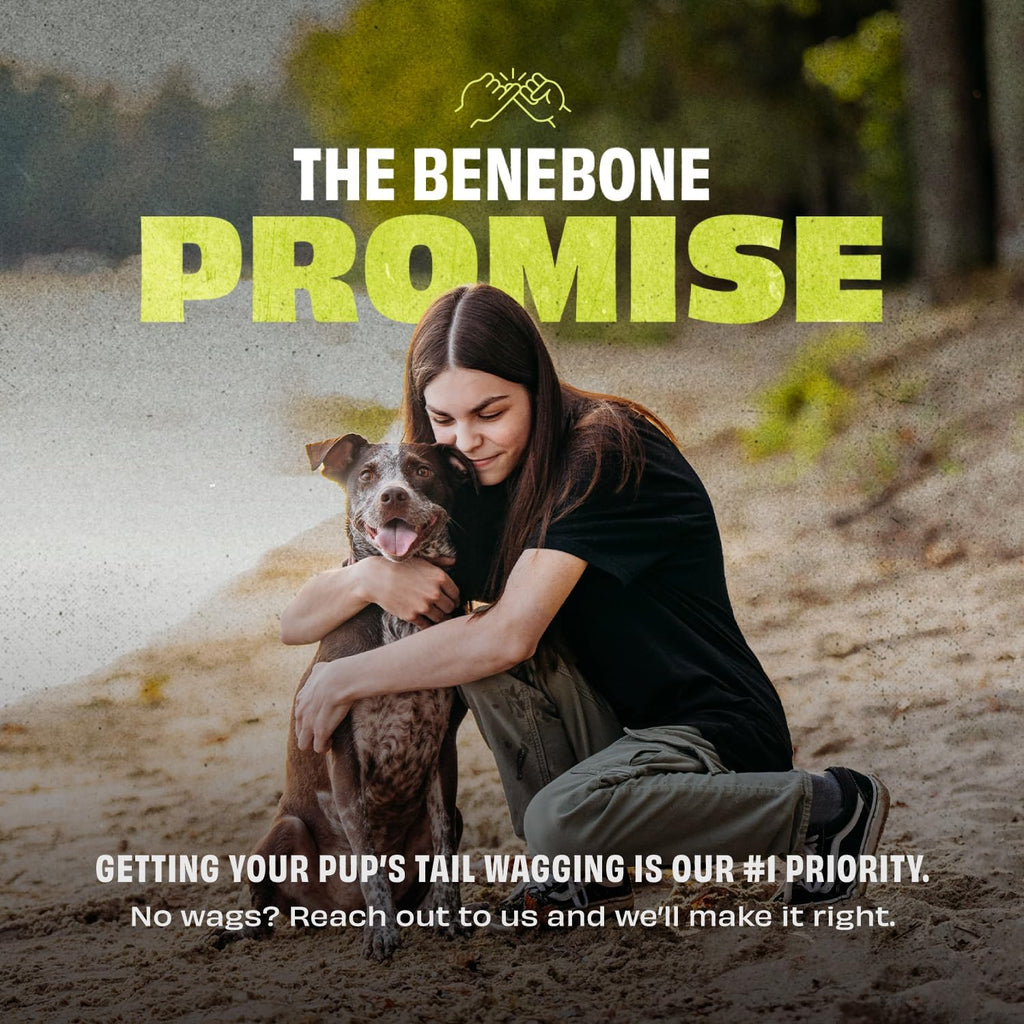 Benebone Bounce Cone Natural Rubber Treat Dispensing Dog Toy – Interactive Slow Feeder & Enrichment Toy