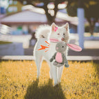 Easter Bunny Squeaky Plush Dog Toy – Soft Chew Toy with Rope Legs for Small, Medium & Large Dogs