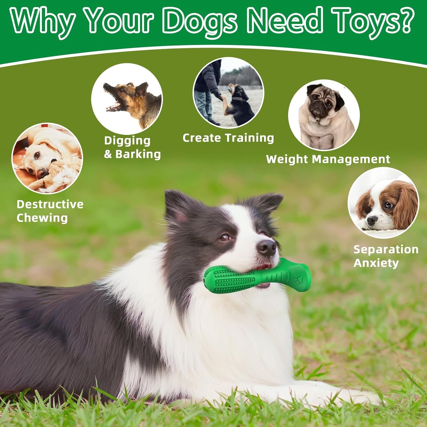 HETOO Natural Rubber Dog Toothbrush Chew Toy – Teeth Cleaning Dental Rod for Puppies & Dogs