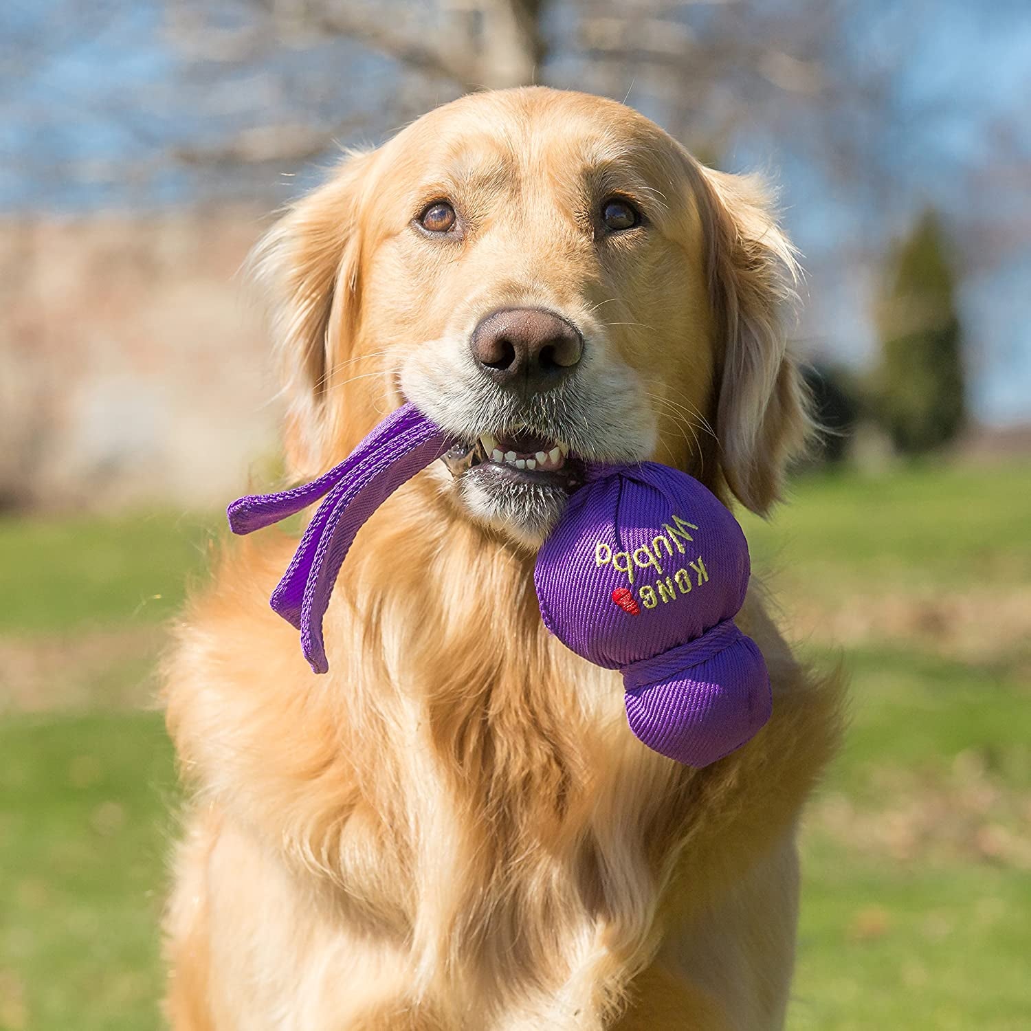 KONG Wubba Squeaky Dog Toy – Durable Tug, Shake & Fetch Toy for Large Dogs