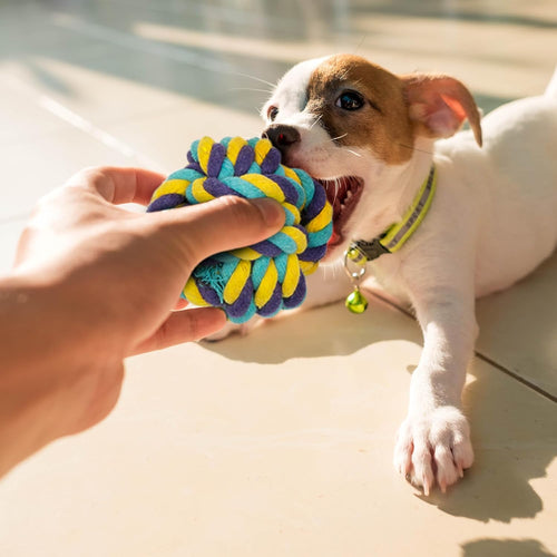 10-Pack Natural Cotton Dog Rope Toys – Indestructible Chew & Tug Toys for All Breeds & Aggressive Chewers