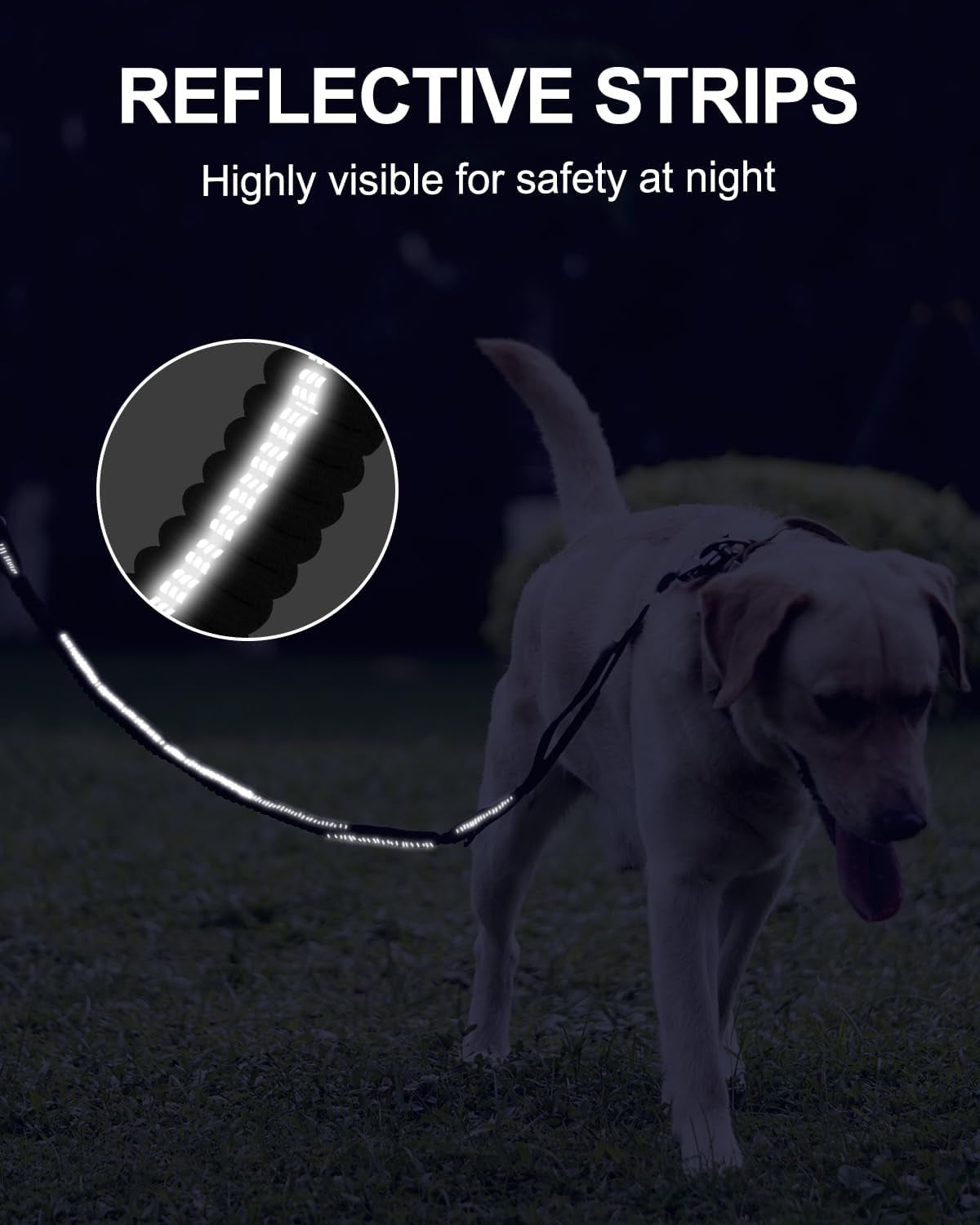Tactical Dog Lead – Heavy Duty Bungee Shock Absorbing Leash with Double Handle & Car Seatbelt for Medium, Large & XL Dogs