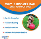 Boomer Ball 8 Inch – Virtually Indestructible Dog Ball for High Energy & Large Dogs