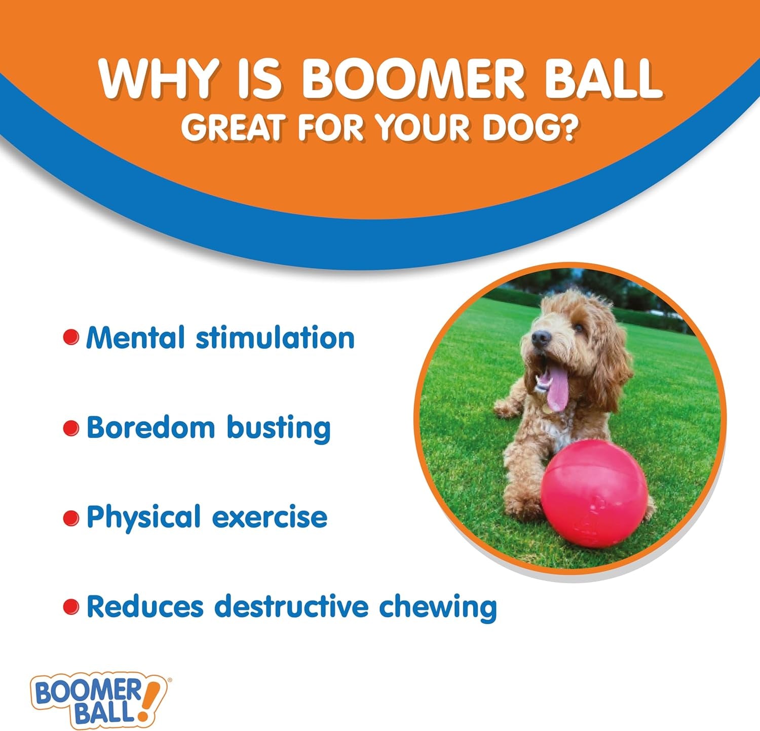 Boomer Ball 8 Inch – Virtually Indestructible Dog Ball for High Energy & Large Dogs