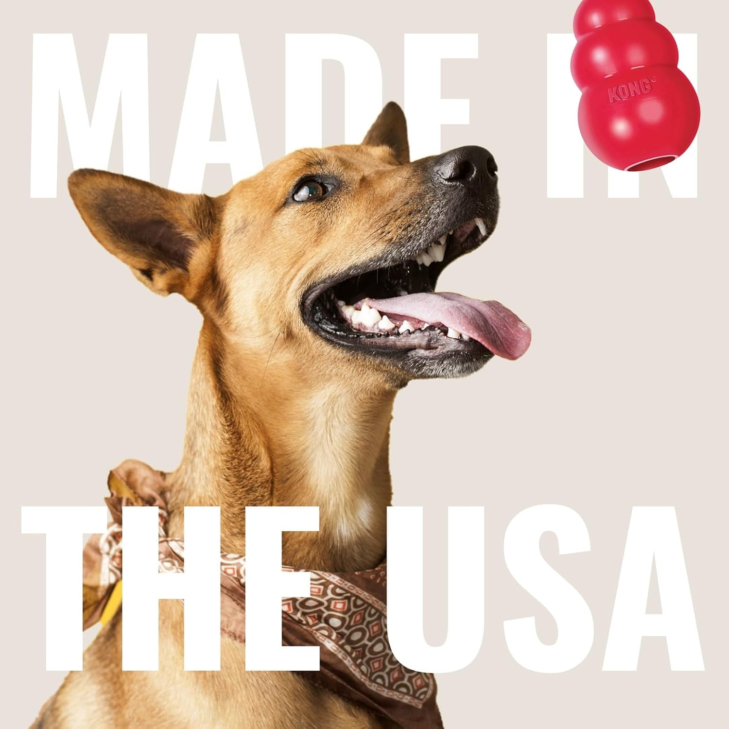 KONG Flyer Natural Rubber Flying Disc – Durable Fetch Toy for Small Dogs