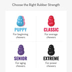 KONG Extreme Dog Toy – Durable Natural Rubber Treat Dispenser & Chew Toy for Power Chewing Large Dogs