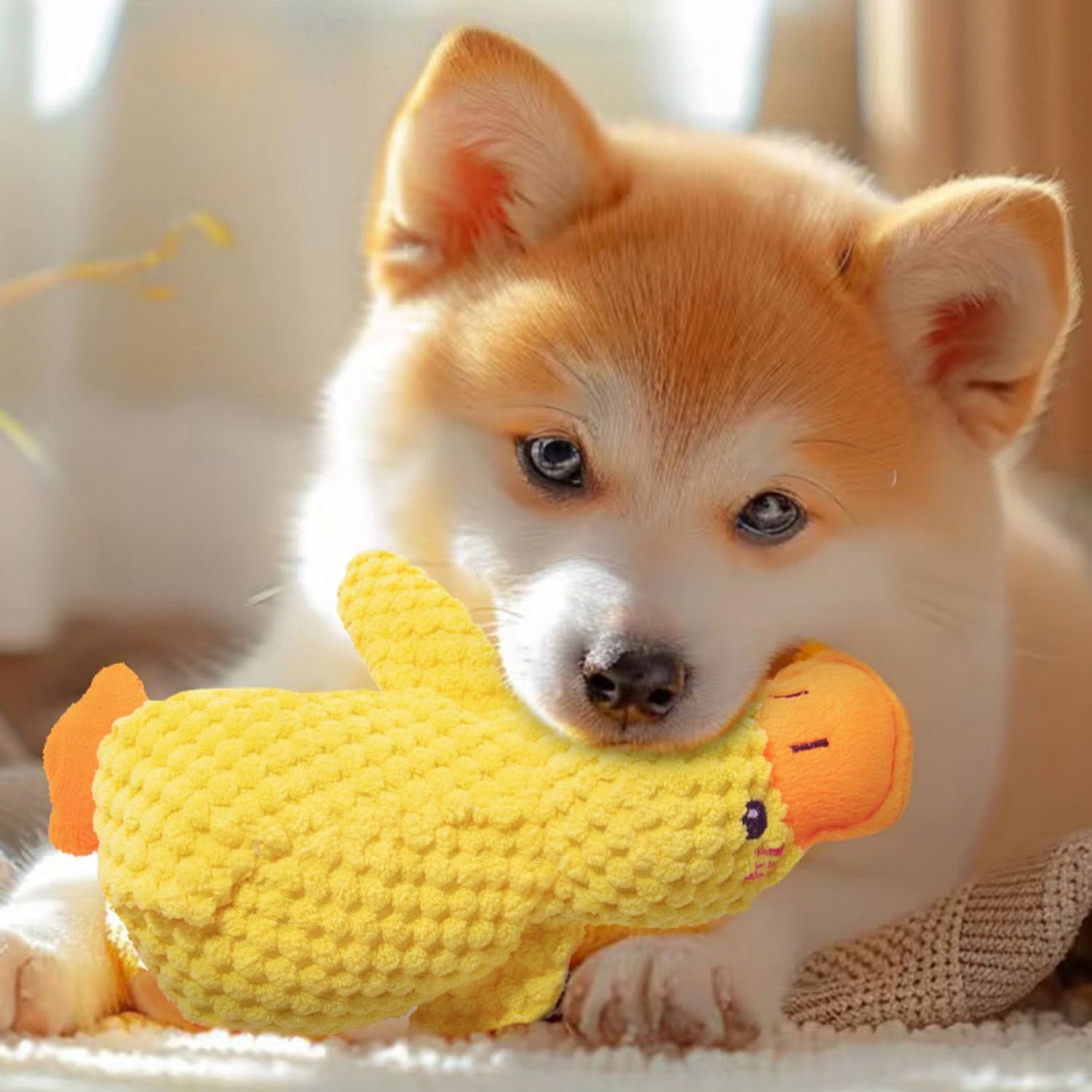 Duck Plush Squeaky Dog Toy – Soft Cotton Chew Toy for Small & Medium Dogs