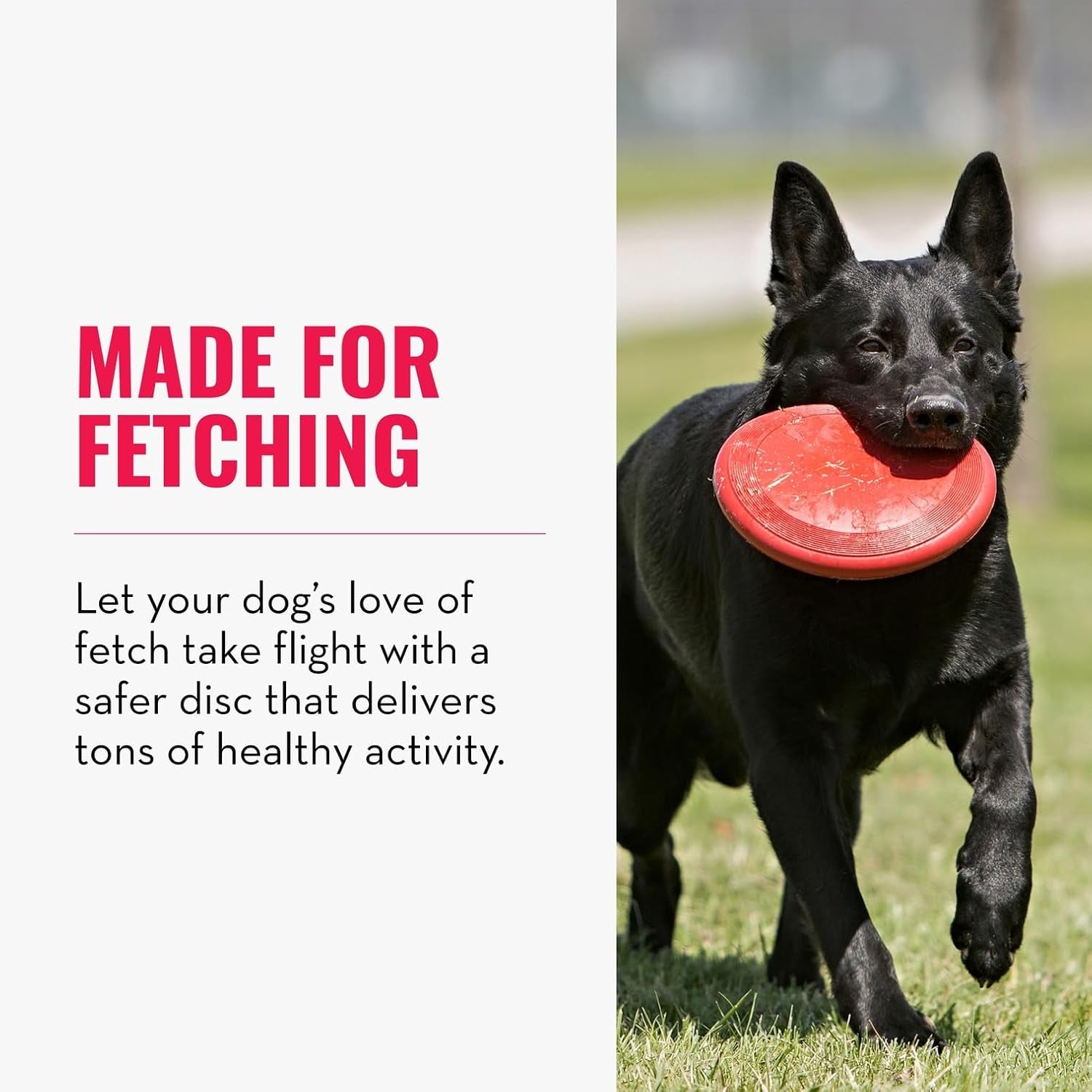 KONG Flyer Natural Rubber Flying Disc – Durable Fetch Toy for Small Dogs