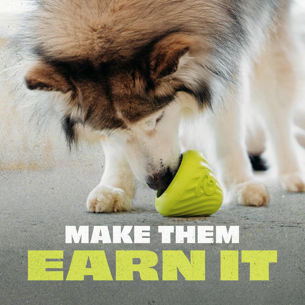 Benebone Bounce Cone Natural Rubber Treat Dispensing Dog Toy – Interactive Slow Feeder & Enrichment Toy