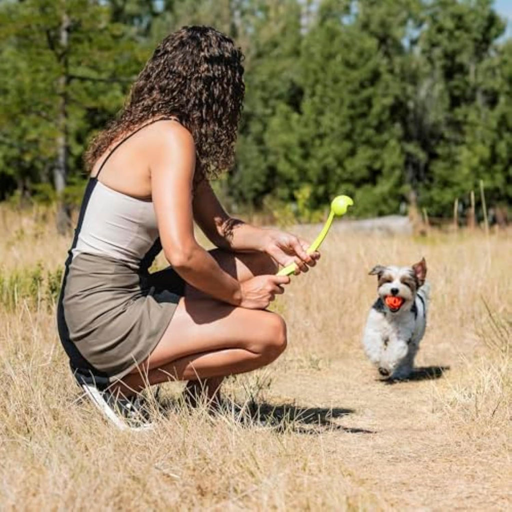 Chuckit Breathe Right Fetch Ball – Lightweight Natural Rubber Dog Ball for Medium Dogs