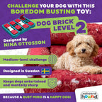 Nina Ottosson Dog Brick Puzzle Toy – Level 2 Interactive Treat Dispenser for Mental Stimulation & Dog Enrichment