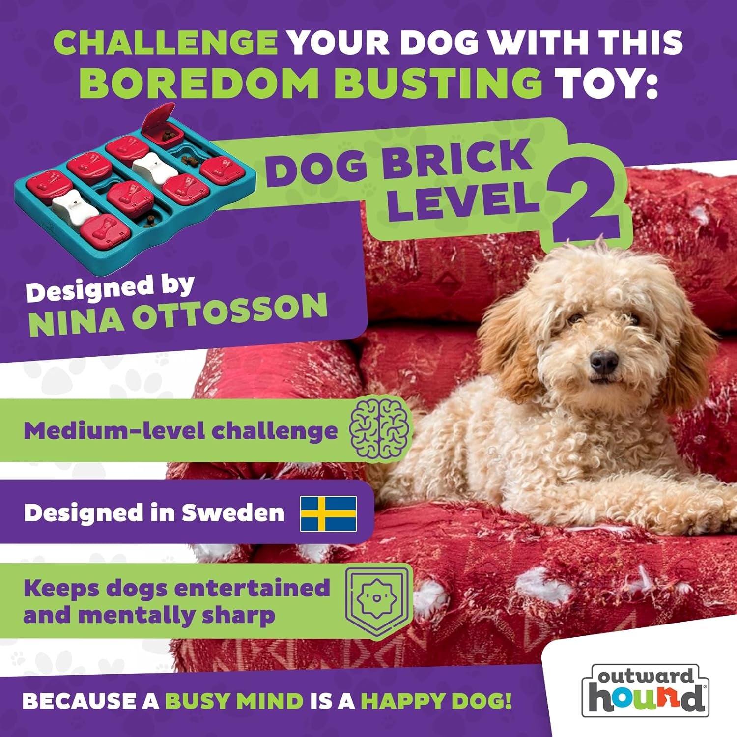 Nina Ottosson Dog Brick Puzzle Toy – Level 2 Interactive Treat Dispenser for Mental Stimulation & Dog Enrichment