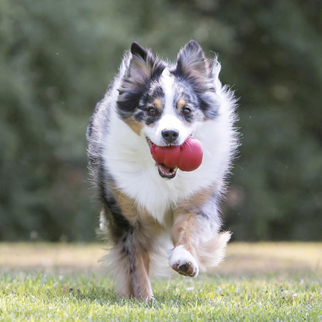 KONG Classic Stuffable Dog Toy – Durable Natural Rubber Chew Toy