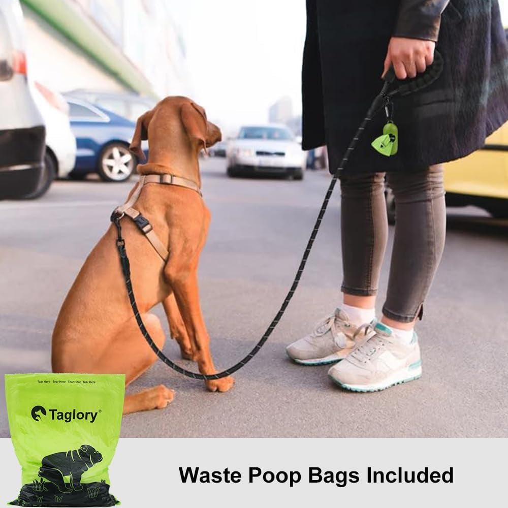 Rope Dog Lead with Padded Handle – 1.2M Reflective Climbing Rope Leash for Small Dogs