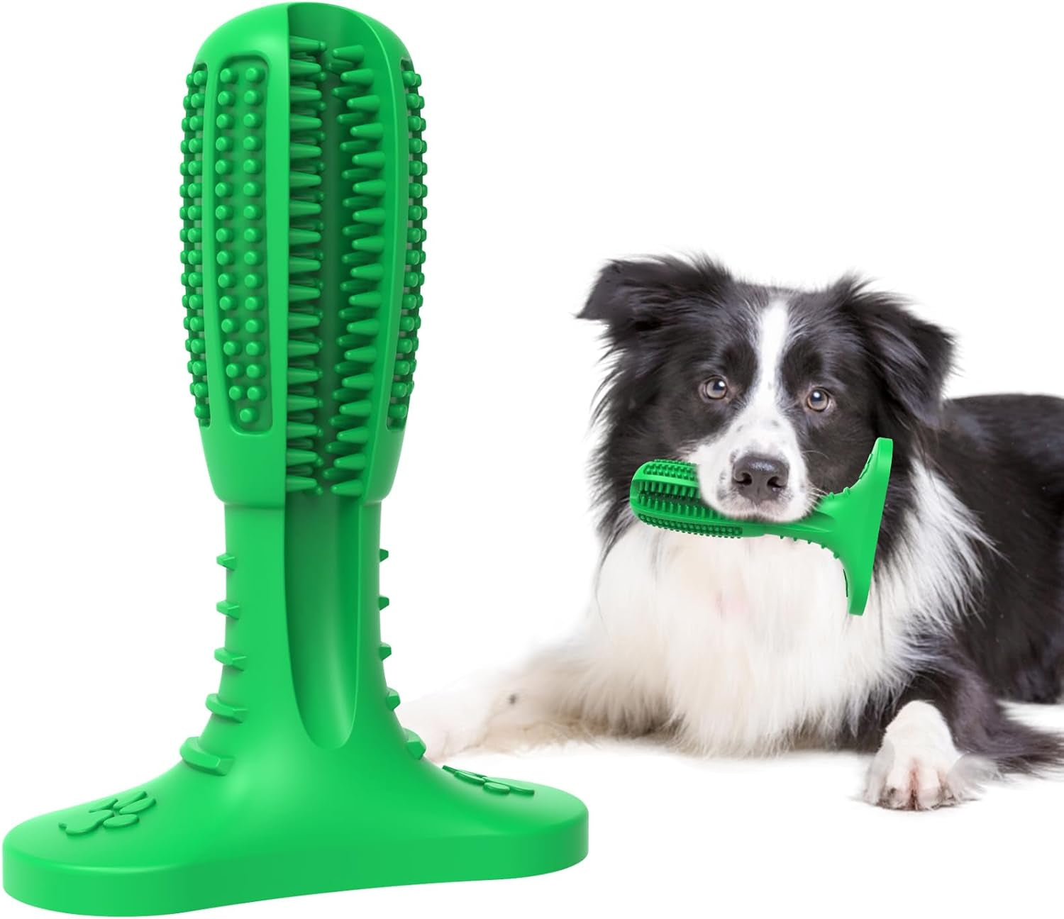HETOO Natural Rubber Dog Toothbrush Chew Toy – Teeth Cleaning Dental Rod for Puppies & Dogs